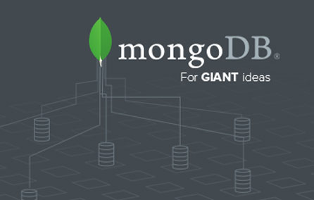 MongoDB