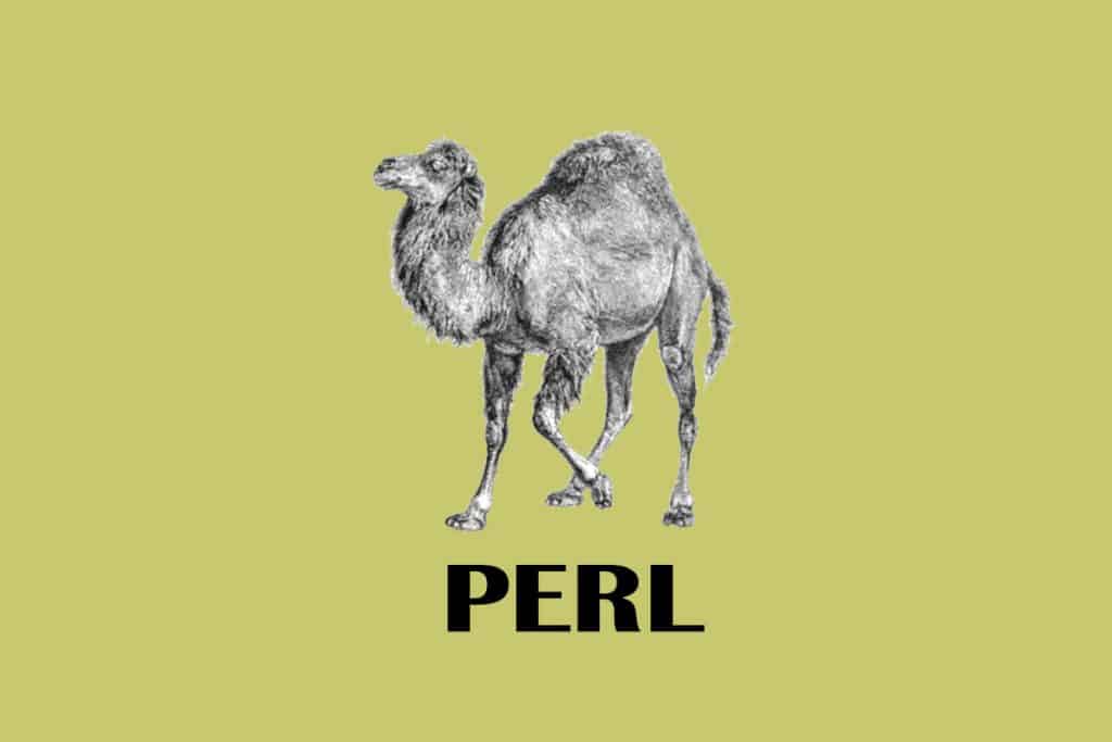 Perl - Top Development Languages