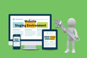 Website Staging Environment