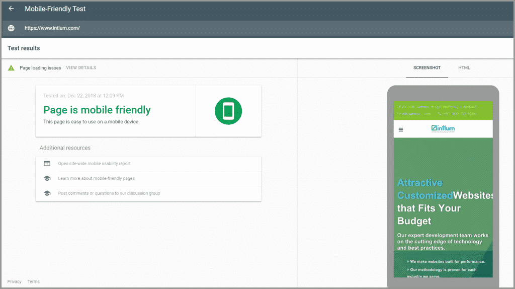 Google Mobile-friendly Test