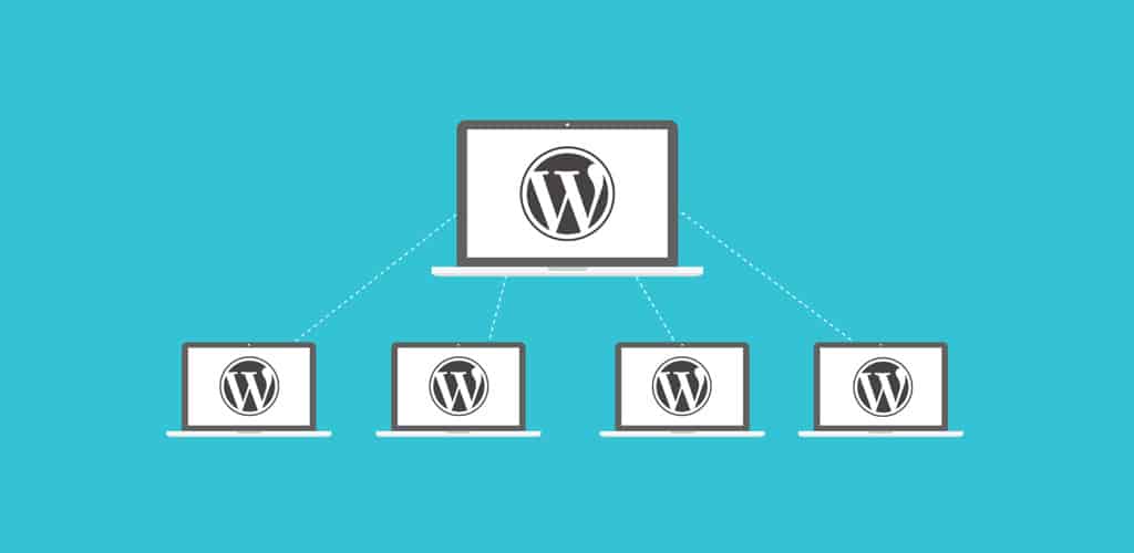 What is WordPress Multisite